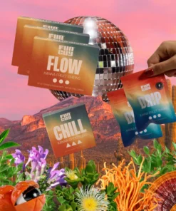 Festival Bundle